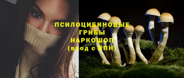 хмурый Алексеевка