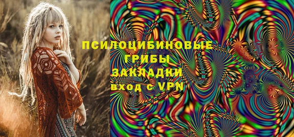 МДПВ Алексин