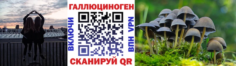 Псилоцибиновые грибы MAGIC MUSHROOMS  Махачкала 